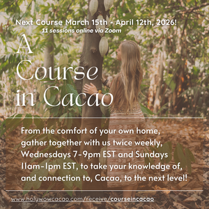 A Course in Cacao: The Art of Ceremony - Live Online March 15 - April 12th, 2026
