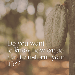 A Course in Cacao: The Art of Ceremony - Live Online March 15 - April 12th, 2026