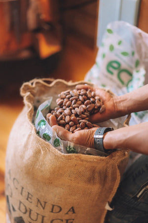 Guatemalan Cacao Adventure Retreat