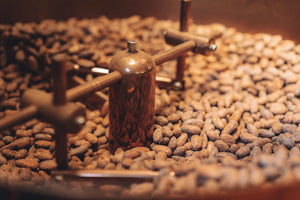 Guatemalan Cacao Adventure Retreat