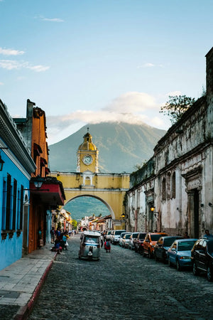 Guatemalan Cacao Adventure Retreat