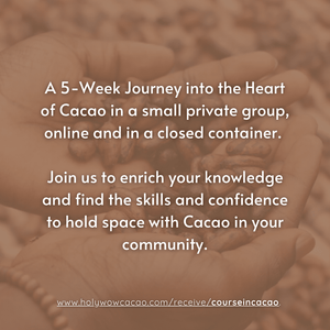 A Course in Cacao: The Art of Ceremony - Live Online March 15 - April 12th, 2026