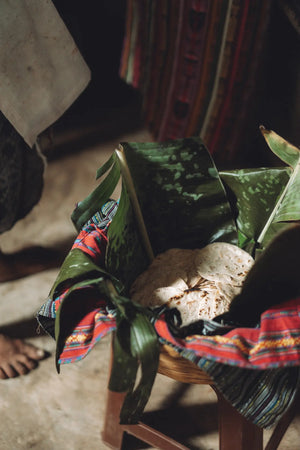 Guatemalan Cacao Adventure Retreat