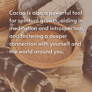 A Course in Cacao: The Art of Ceremony - Live Online March 15 - April 12th, 2026