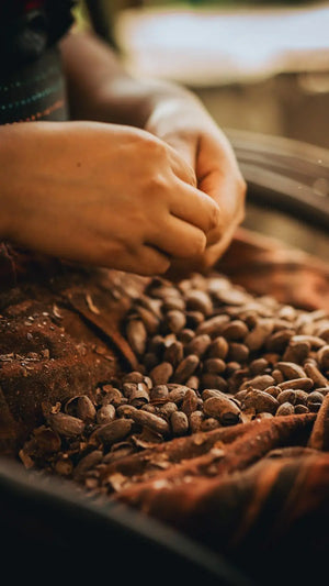 Guatemalan Cacao Adventure Retreat