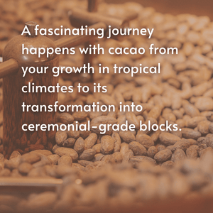 A Course in Cacao: The Art of Ceremony - Live Online March 15 - April 12th, 2026