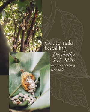 Guatemalan Cacao Adventure Retreat