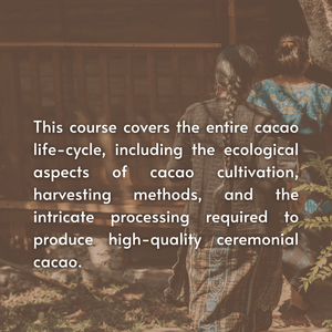 A Course in Cacao: The Art of Ceremony - Live Online March 15 - April 12th, 2026