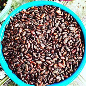 Cacaositas ~ Nibs of Holy Wow!