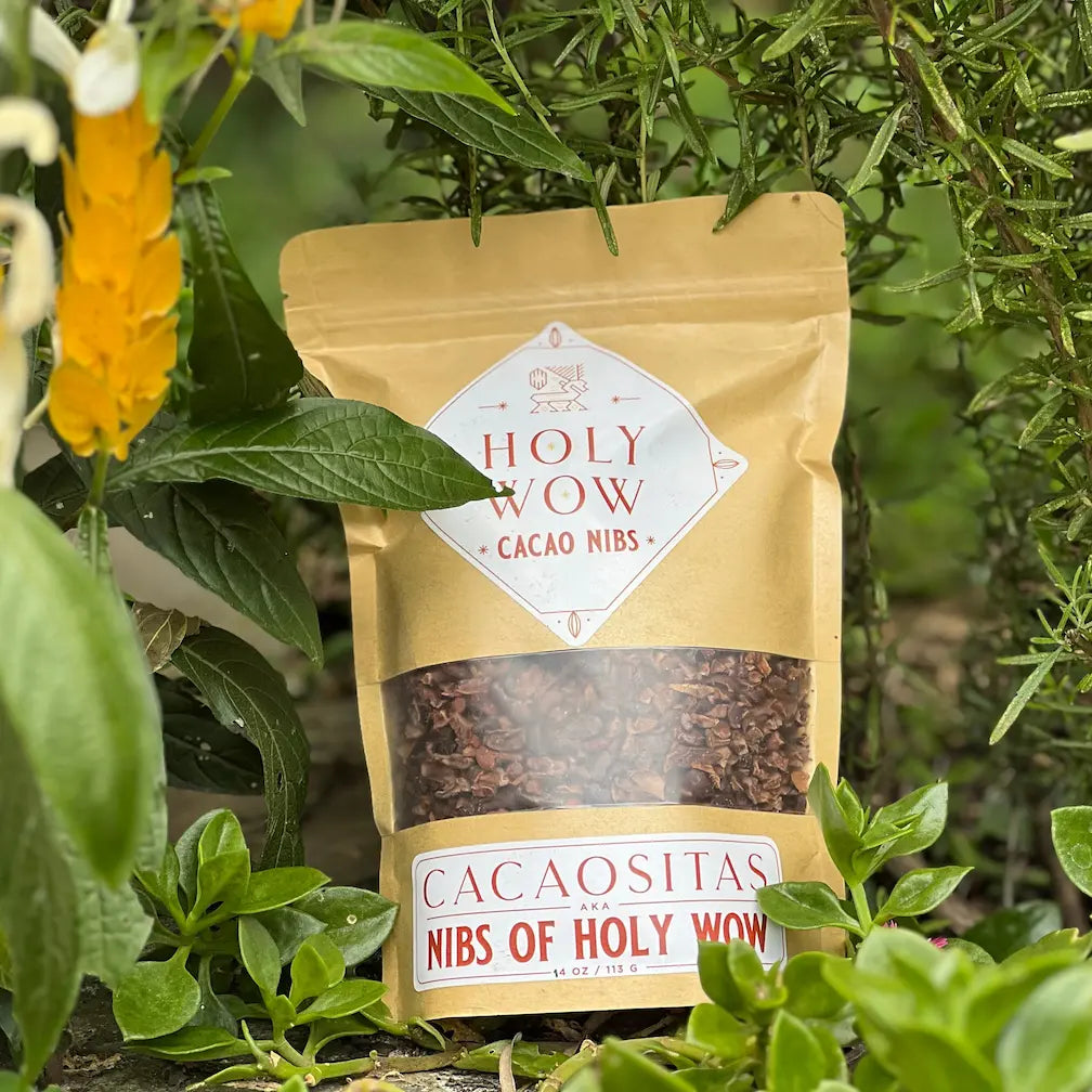 Cacao nibs surrounded by green plants