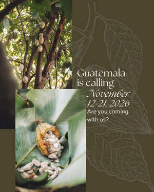 Guatemalan Cacao Adventure Retreat
