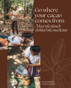 Guatemalan Cacao Adventure Retreat