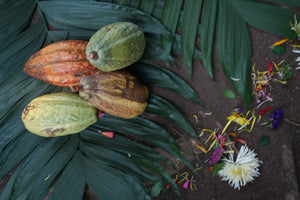 Cacao pods and flower petals arranged on palm leaves for a ceremony