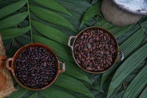 Two clay bowls of cacao beans on palm leaves