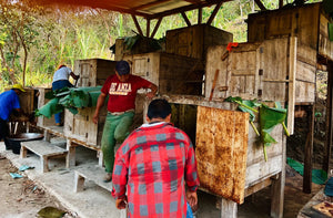 Guatemalan Cacao Adventure Retreat