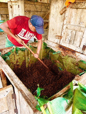 Guatemalan Cacao Adventure Retreat