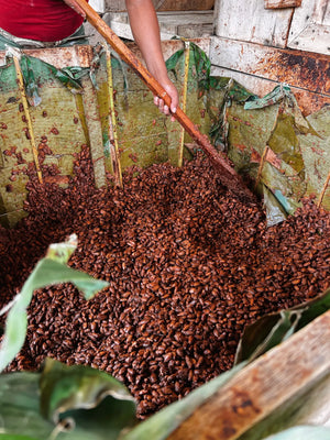 Guatemalan Cacao Adventure Retreat