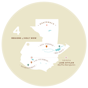 Cacao Ambassador Wholesale Packages