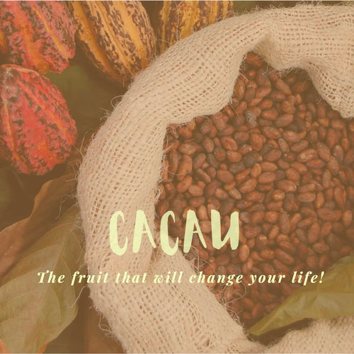 Cacao The Fruit That Will Change Your Life ceremonial ebook cover