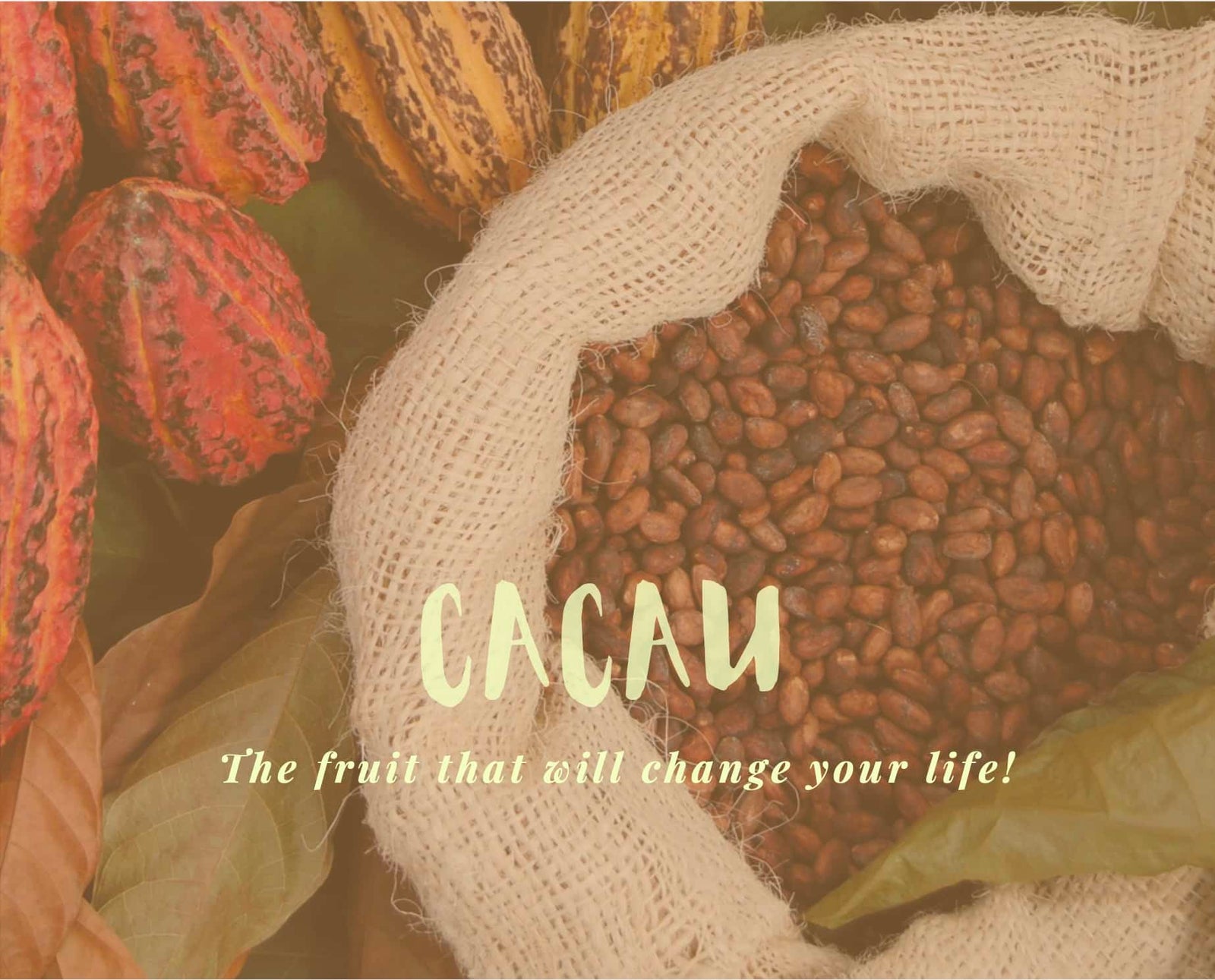 Cacao E-Book by Isabela Benucci
