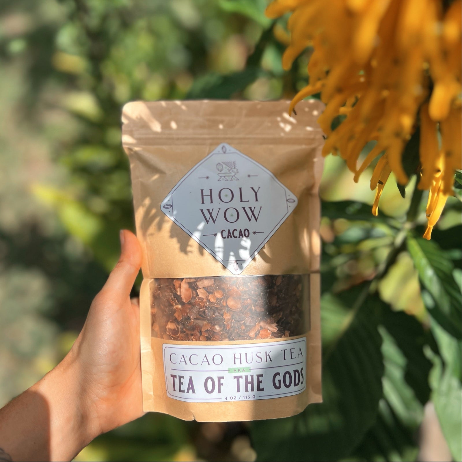 Hand holding a package of 'Tea of the Gods' cacao husk tea with a natural background