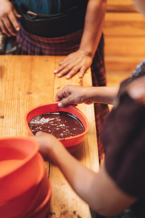 Guatemalan Cacao Adventure Retreat