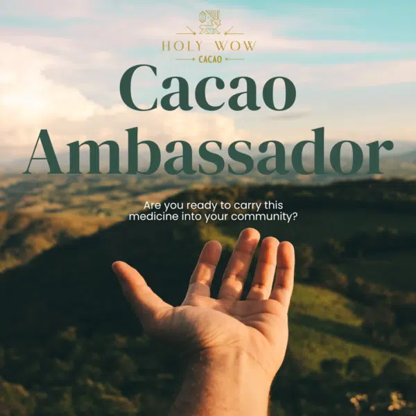 Cacao Ambassador Wholesale Packages